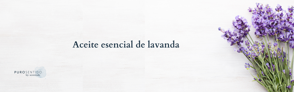 Aceite de lavanda, todos los beneficios y usos