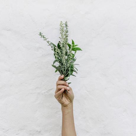 Fragancias para hogar - Esencias aromáticas