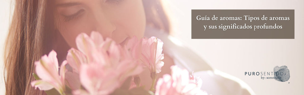 Guía de aromas: tipos de aromas y sus significados profundos