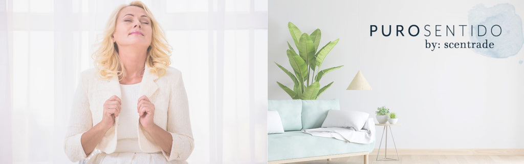 Beneficios de usar difusores de aromas con el aroma adecuado