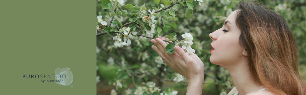 La ciencia del olfato: Cómo se relaciona con las emociones