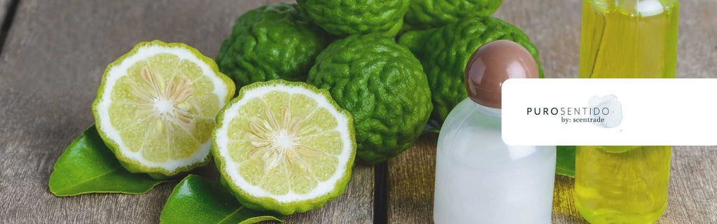 Aceite de Bergamota: origen, usos y beneficios