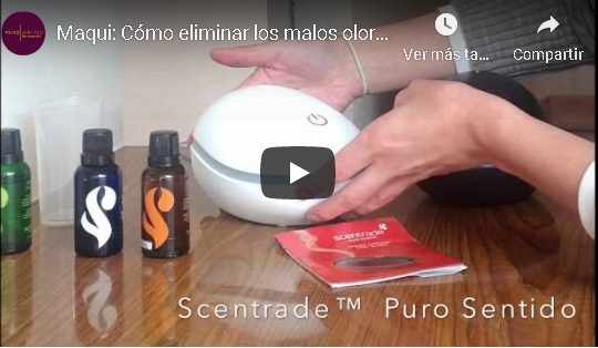 Maqui: Cómo eliminar los malos olores en tu hogar