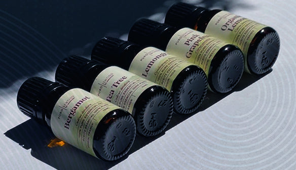 PuroSentido By: Scentrade - México