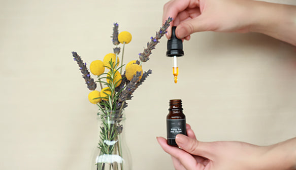 PuroSentido By: Scentrade - México