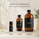 Fragancia Turquesa
